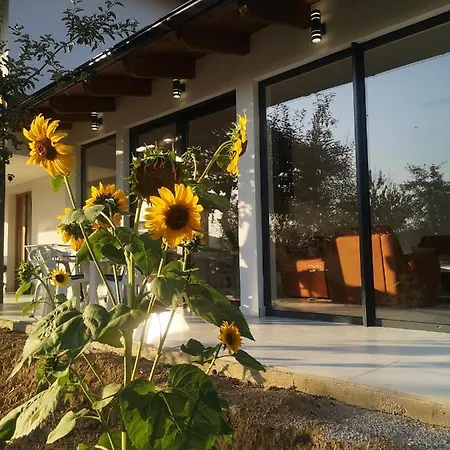 Alfareed الفريد * Sarajewo