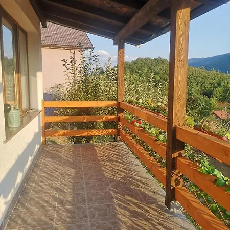 Alfareed الفريد * Sarajewo