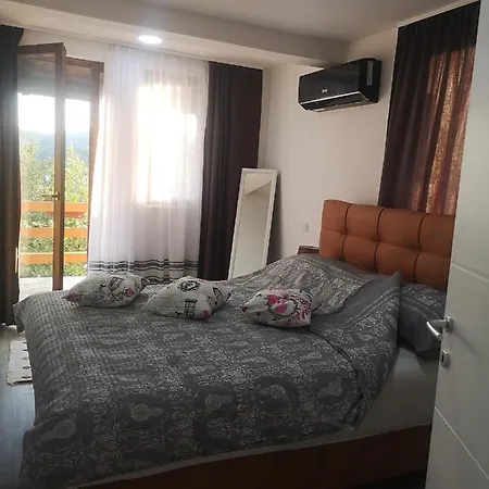 Alfareed الفريد