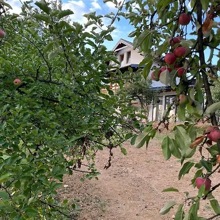 Willa Alfareed الفريد Sarajewo