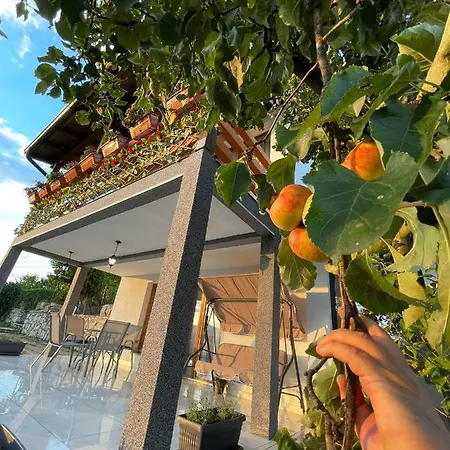 Alfareed الفريد