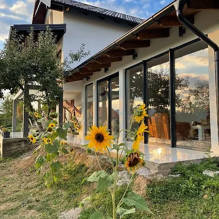 Alfareed الفريد * Sarajewo